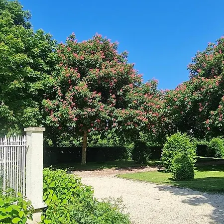 Appartement La Honeymoon - Manoir Des Marronniers V